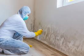 Urbana, OH Mold Prevention & Removal  Company